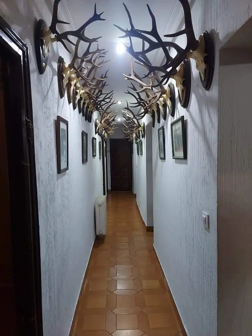 Chalet con piscina en venta en Aldea del Cano, imagen 20
