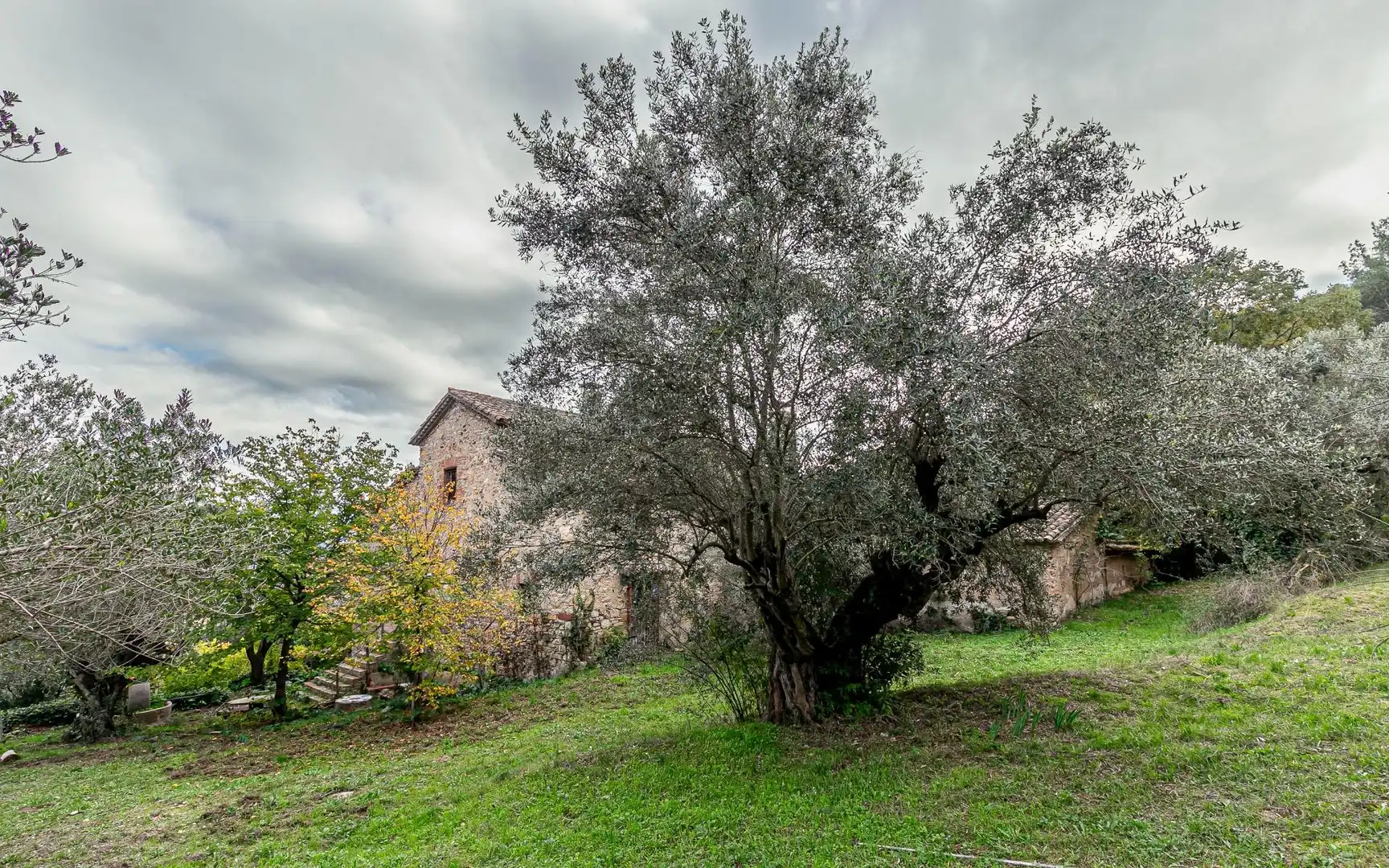 Casa o chalet en venta en Sant Andreu de la Barca