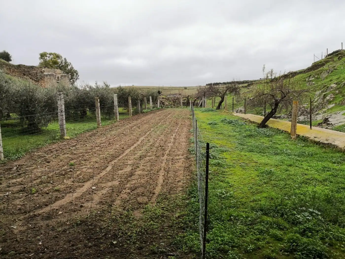 Finca rústica en venta en Belalcázar