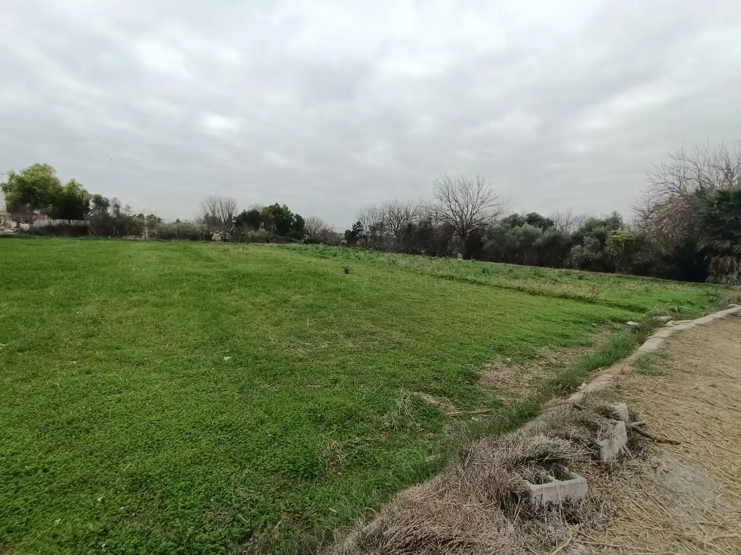 Terreny residencial en venda a Alguazas, imagen 2