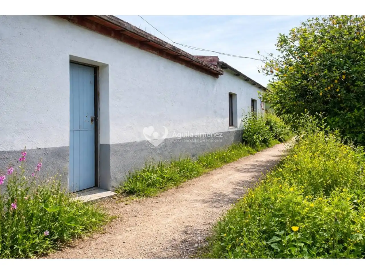 Vista exterior de Finca rústica en venta en Alcalá de Guadaira con Aire acondicionado, Calefacción y Jardín privado