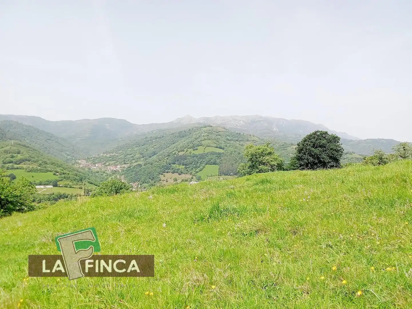 Residencial en venta en Lena
