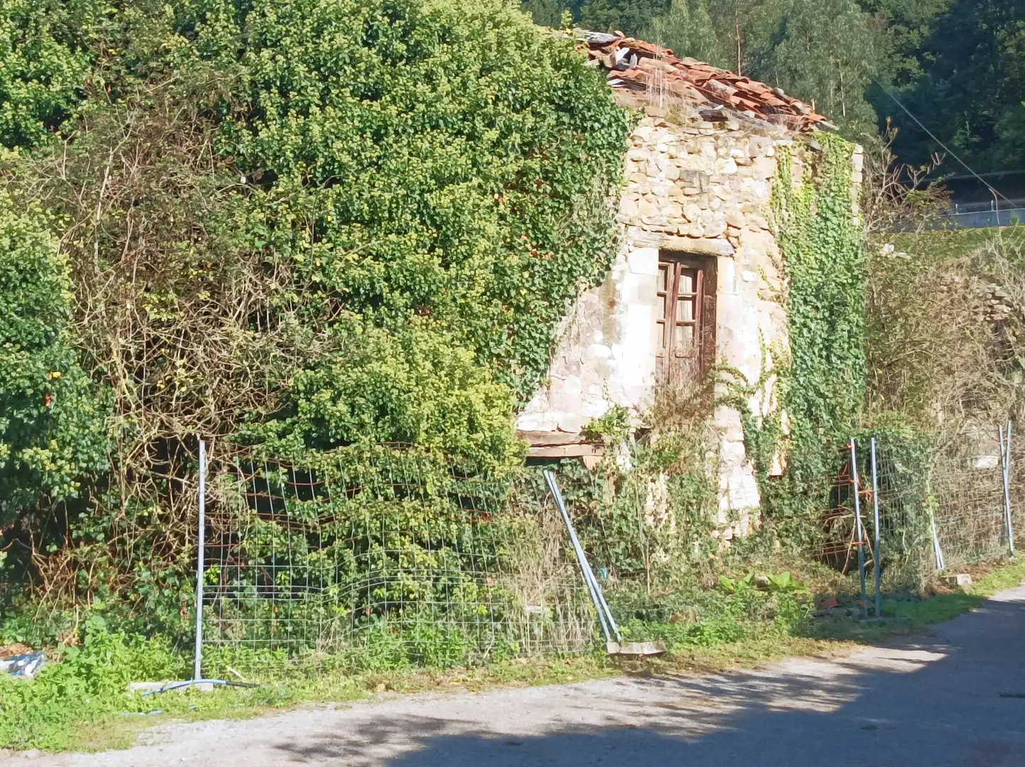 Vista exterior de Casa o chalet en venta en Arenas de Iguña con Jardín privado