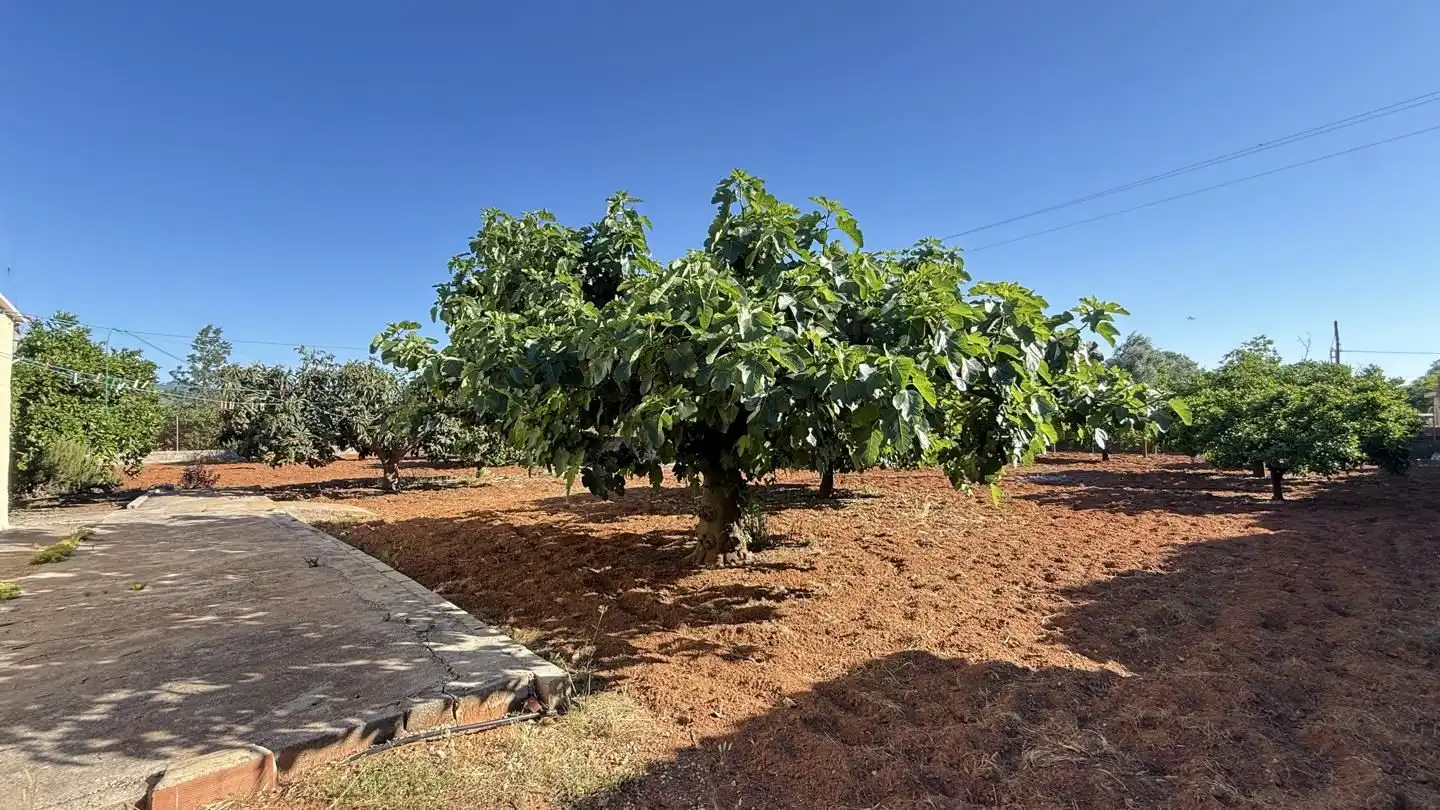 Finca rústica en venta en Rafelguaraf con Aire acondicionado, Jardín privado y Trastero