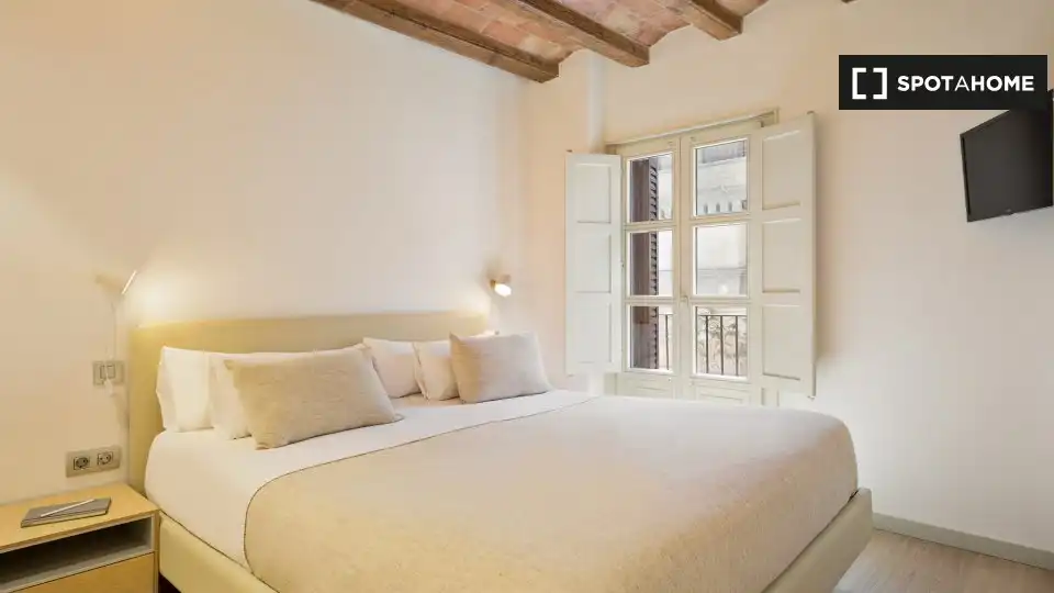 Flat with terrace to rent in Ciutat Vella, imagen 18