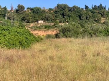 Terreno rustico in vendita a Urbanització el Pinar 80