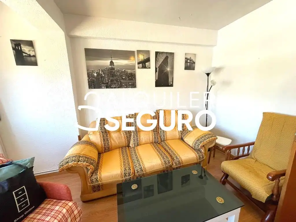 Sala d'estar de Pis de lloguer en Madrid amb Calefacció i Moblat