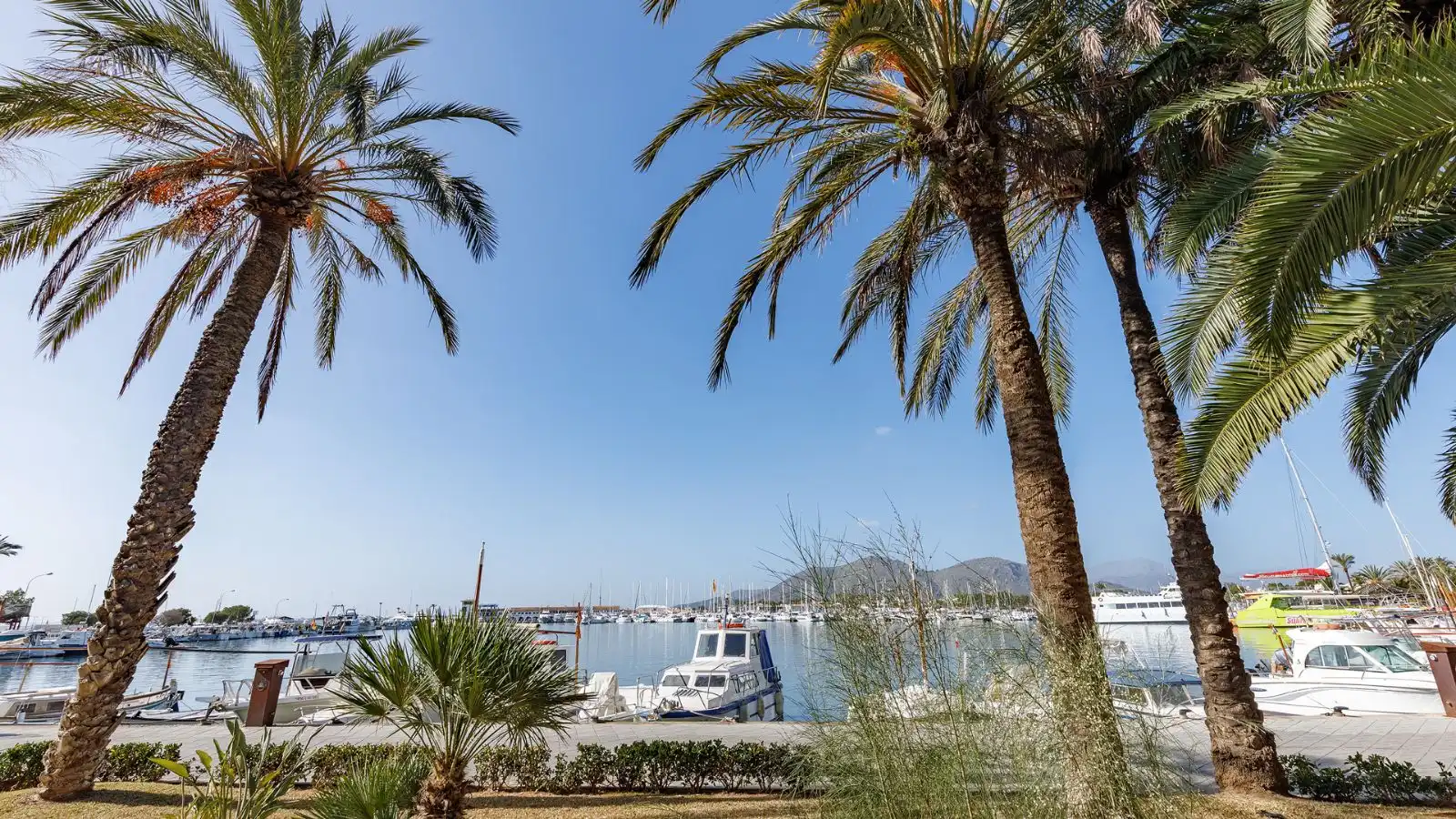 Apartment with balcony for sale in Port d'Alcúdia - Platja d'Alcúdia, imagen 21
