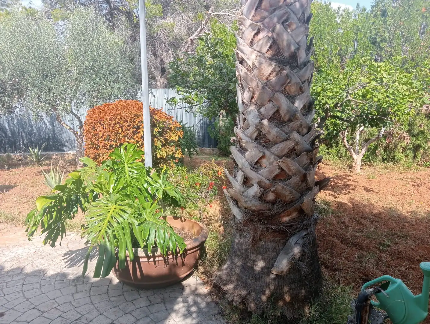 Villa mit Pool zum Verkauf in Camí de Paterna - Lloma del Calderer, imagen 48