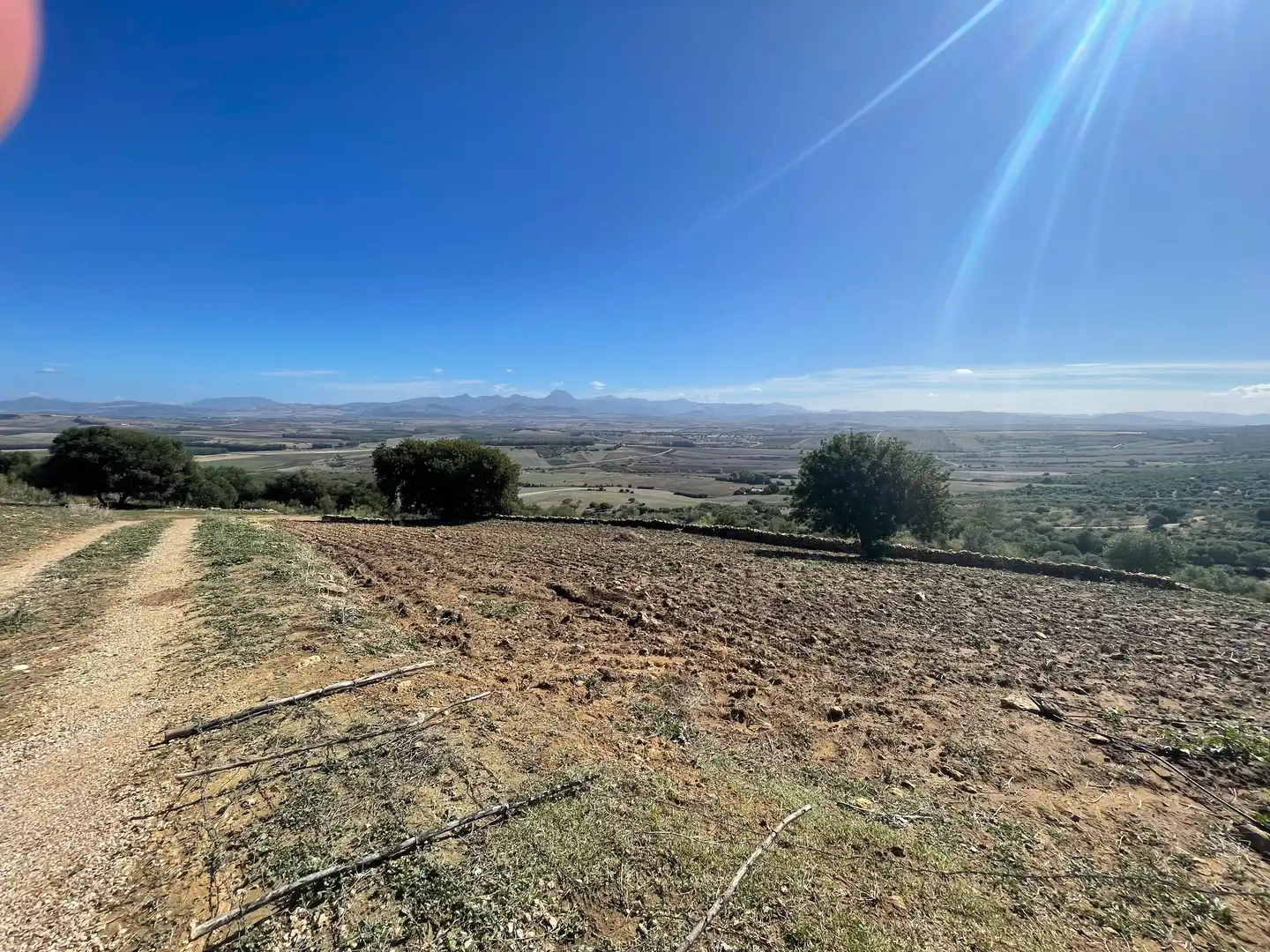 Terreno rustico in vendita a Arcos de la Frontera, imagen 15