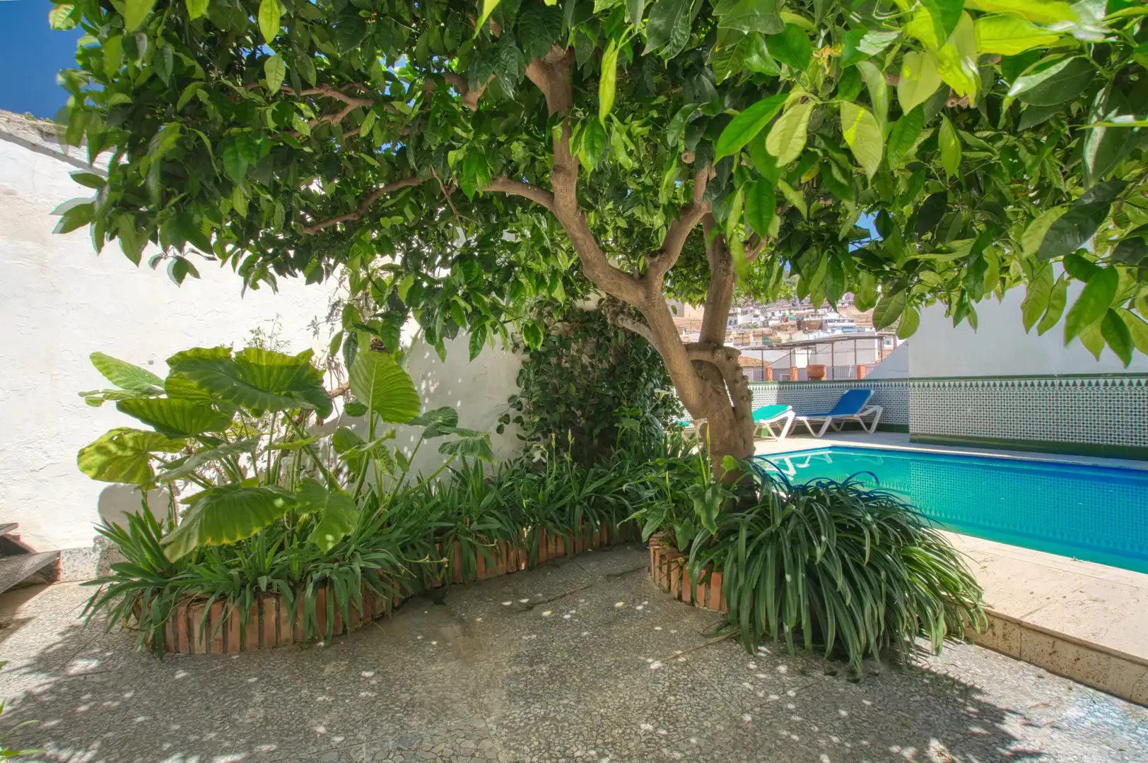 Piscina de Casa adosada en venda en Vélez-Málaga amb Jardí privat, Traster i Piscina comunitària