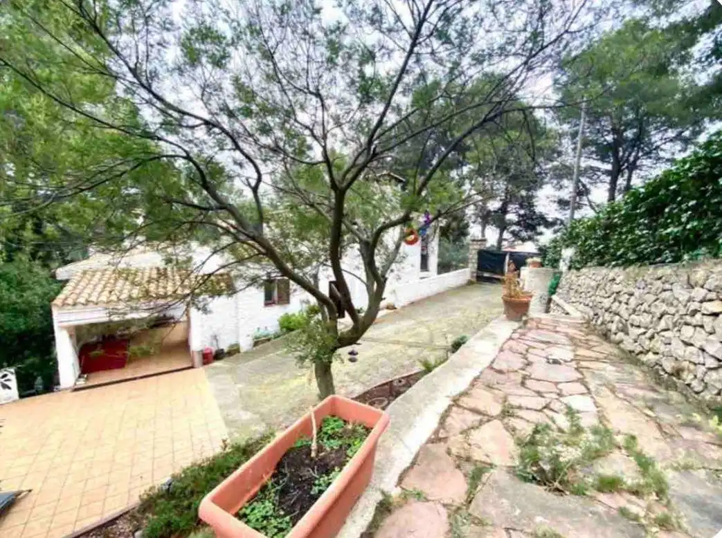 Jardí de Casa o xalet en venda en Benicasim / Benicàssim amb Aire condicionat, Jardí privat i Terrassa
