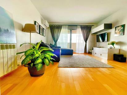 Living room of Flat for sale in Ripollet  with Air Conditioner, Heating and Parquet flooring