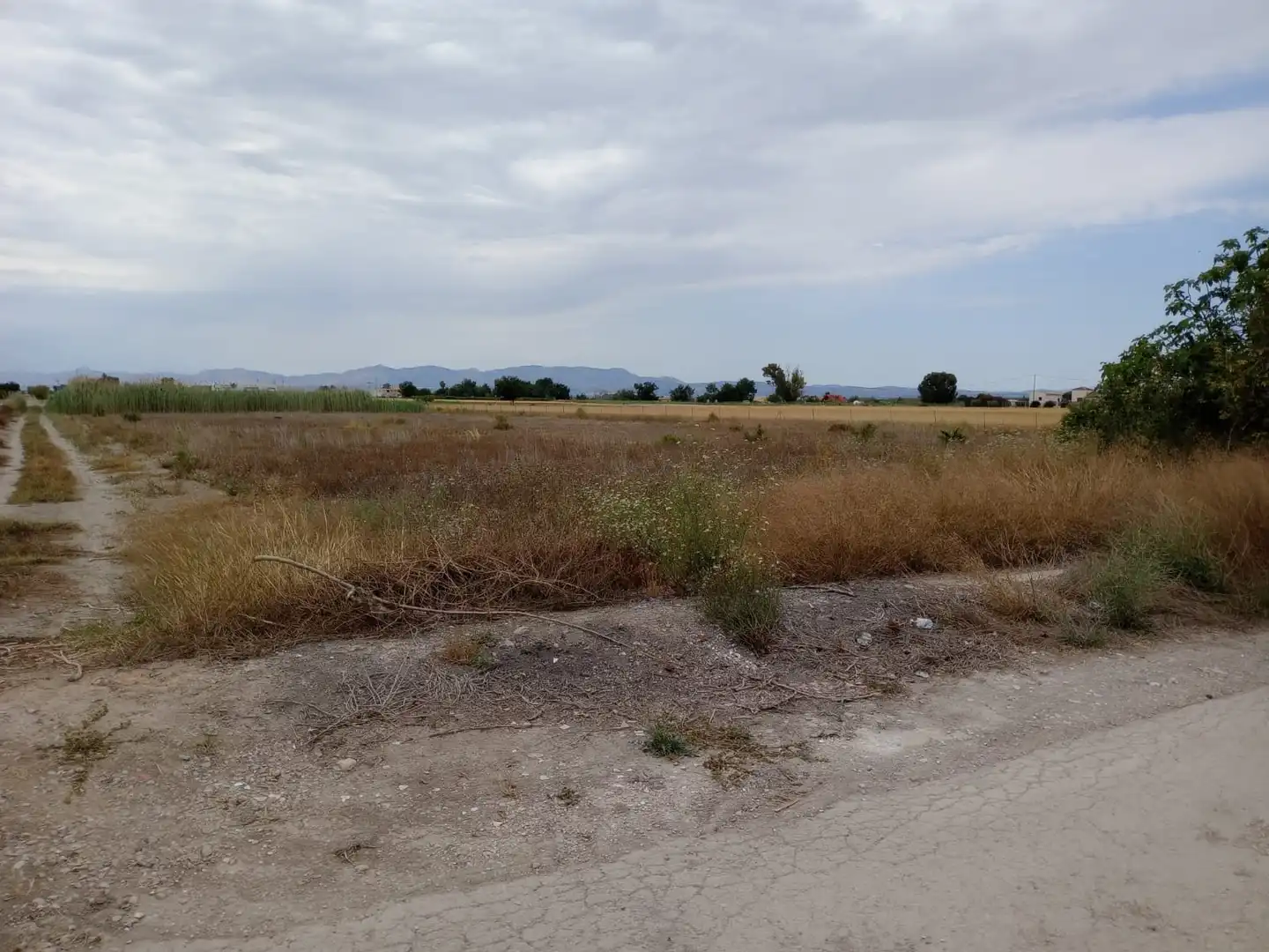 Terreno industrial en venta en Formentera del Segura