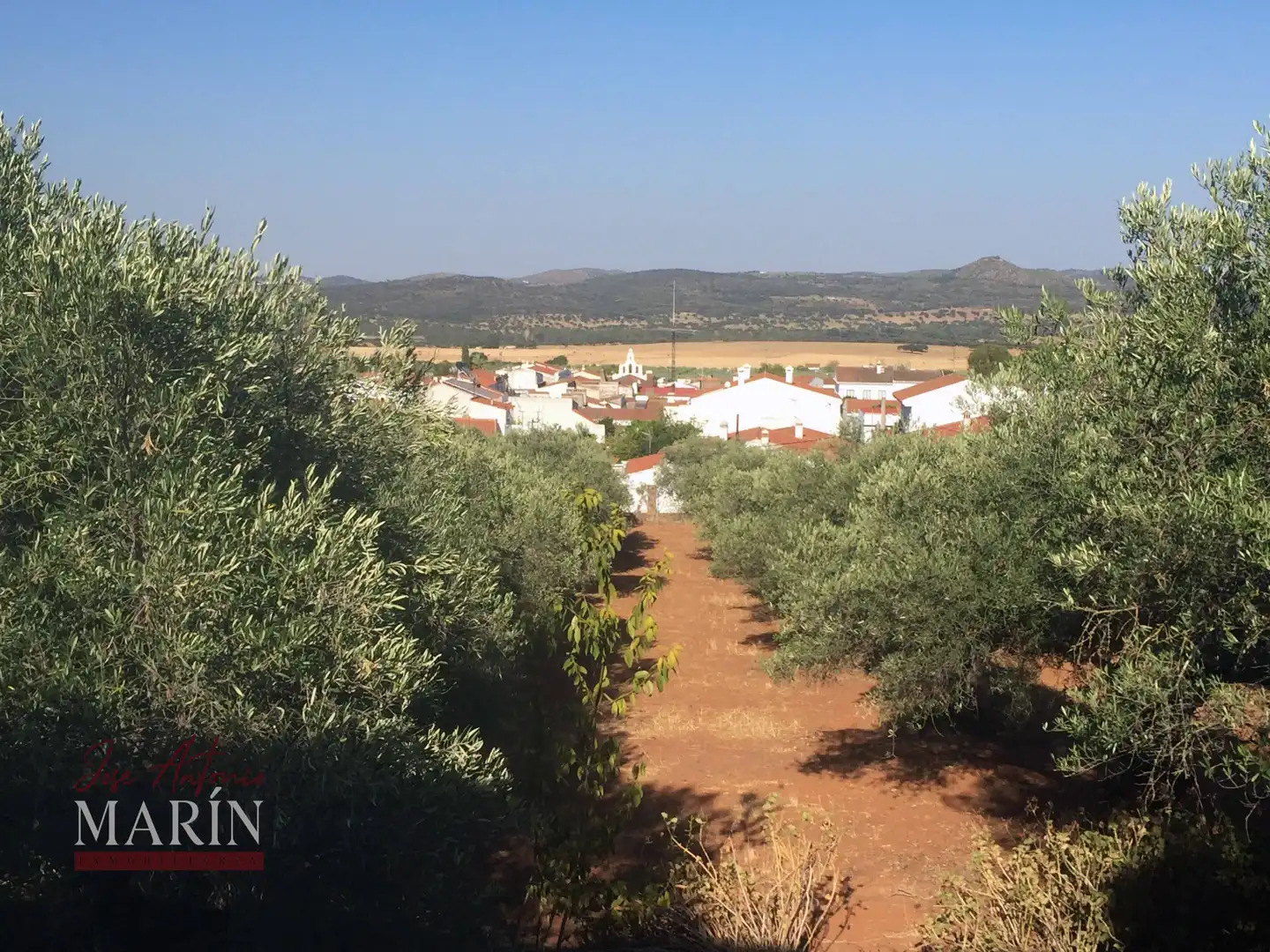 Terreni e lotti in vendita a Olivenza, imagen 15