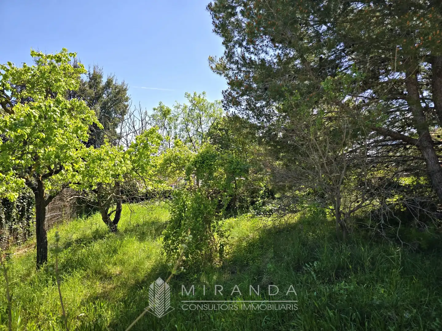 Residential land for sale in Carrer de l'Olivera, imagen 4