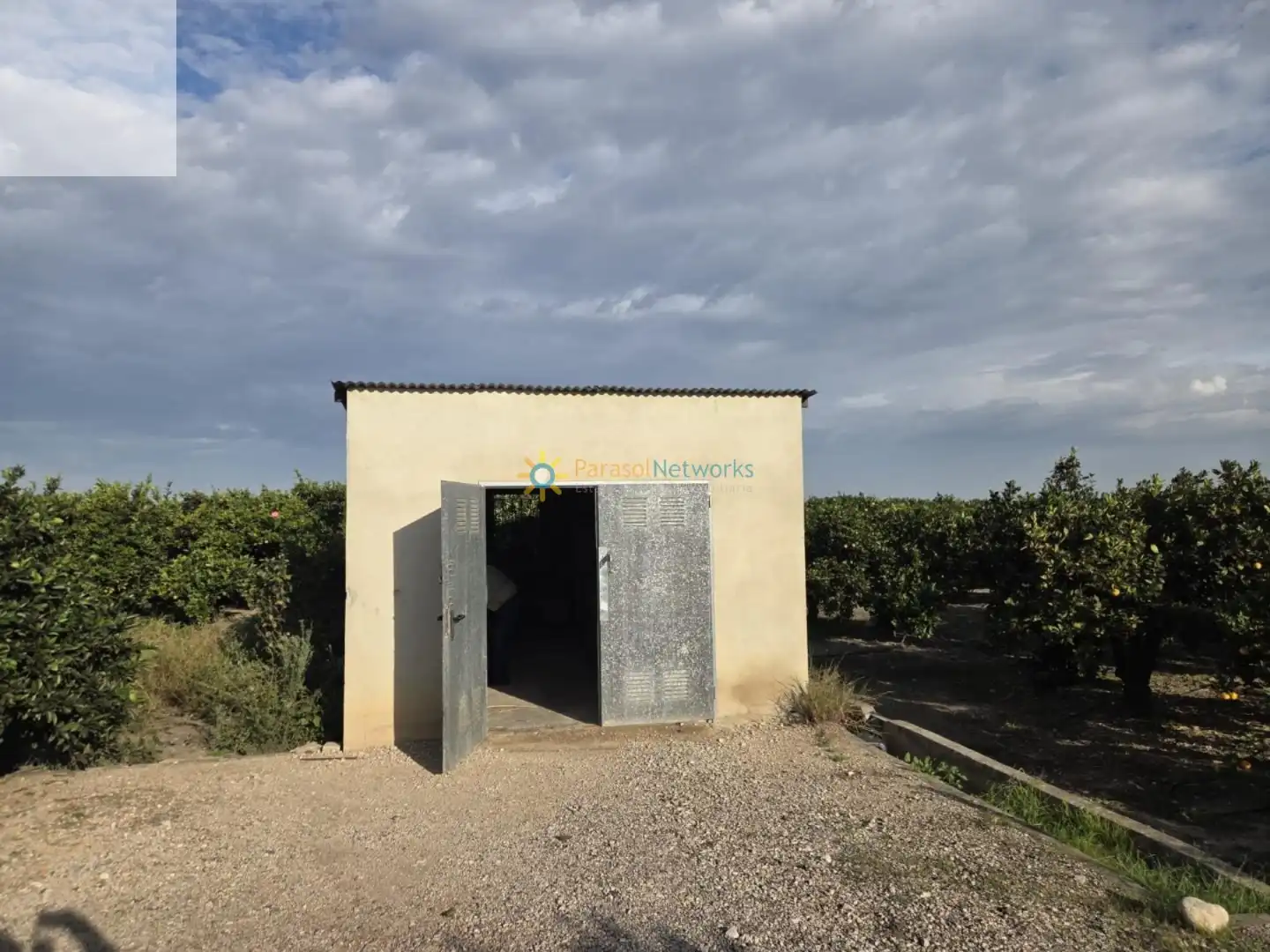 Rural land for sale in Senyera, imagen 6