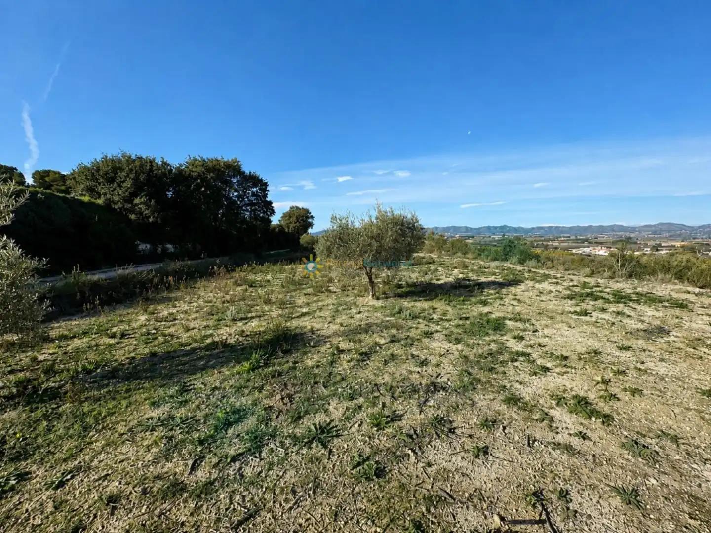 Finca rústica en venda en El Palomar amb Jardí privat, Terrassa i Traster