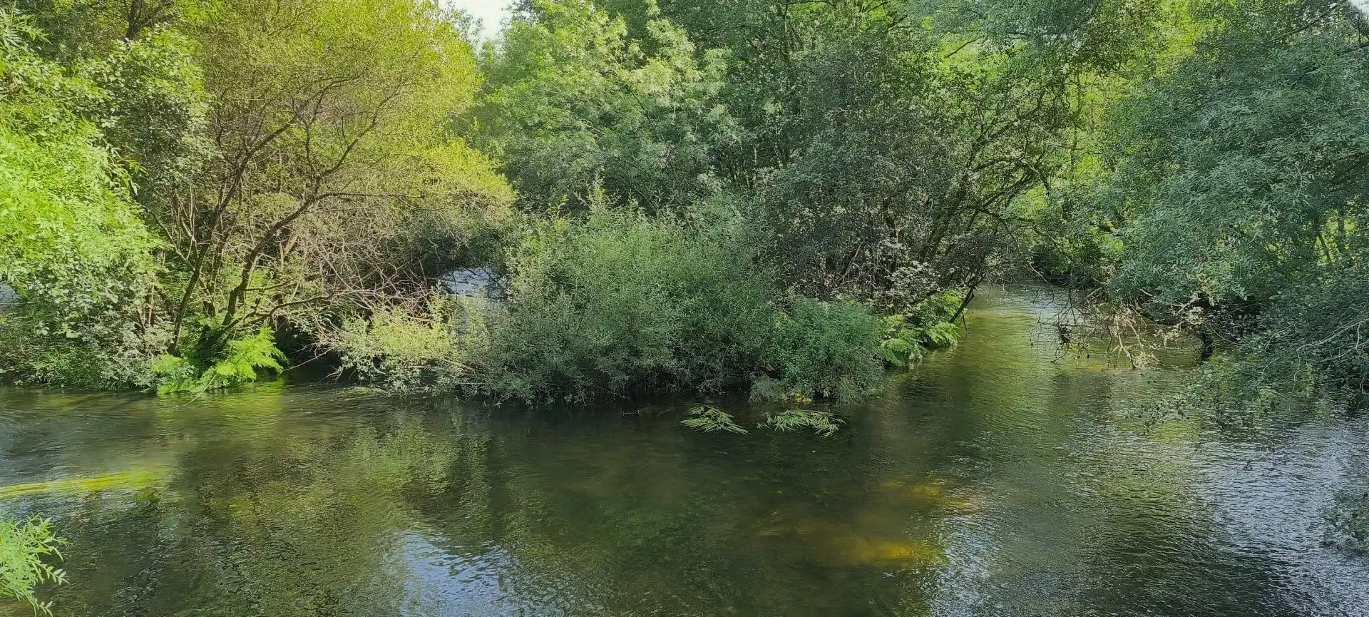 Casa o chalet en venta en Vila de Cruces