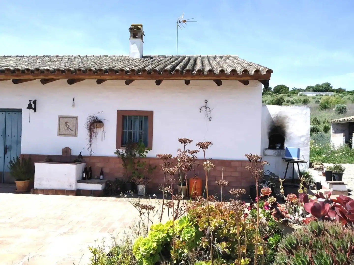 Terreny rústic en venda a Arcos de la Frontera, imagen 12