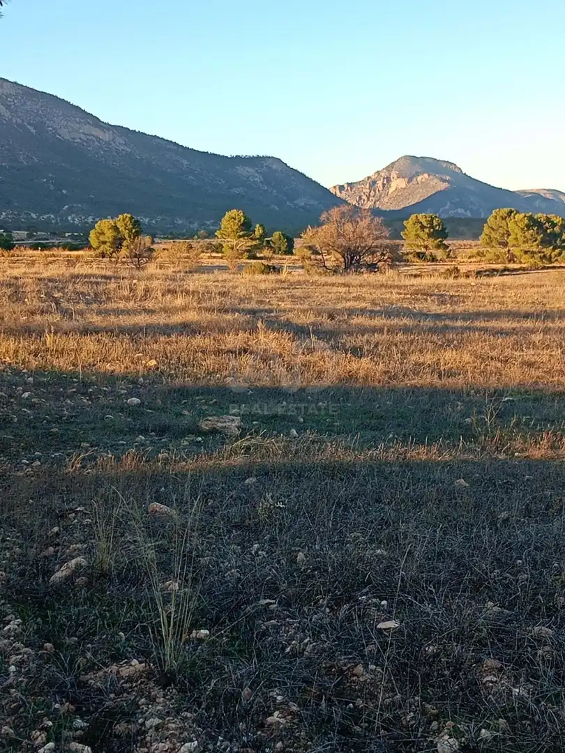 Terreno en venta en Lorca