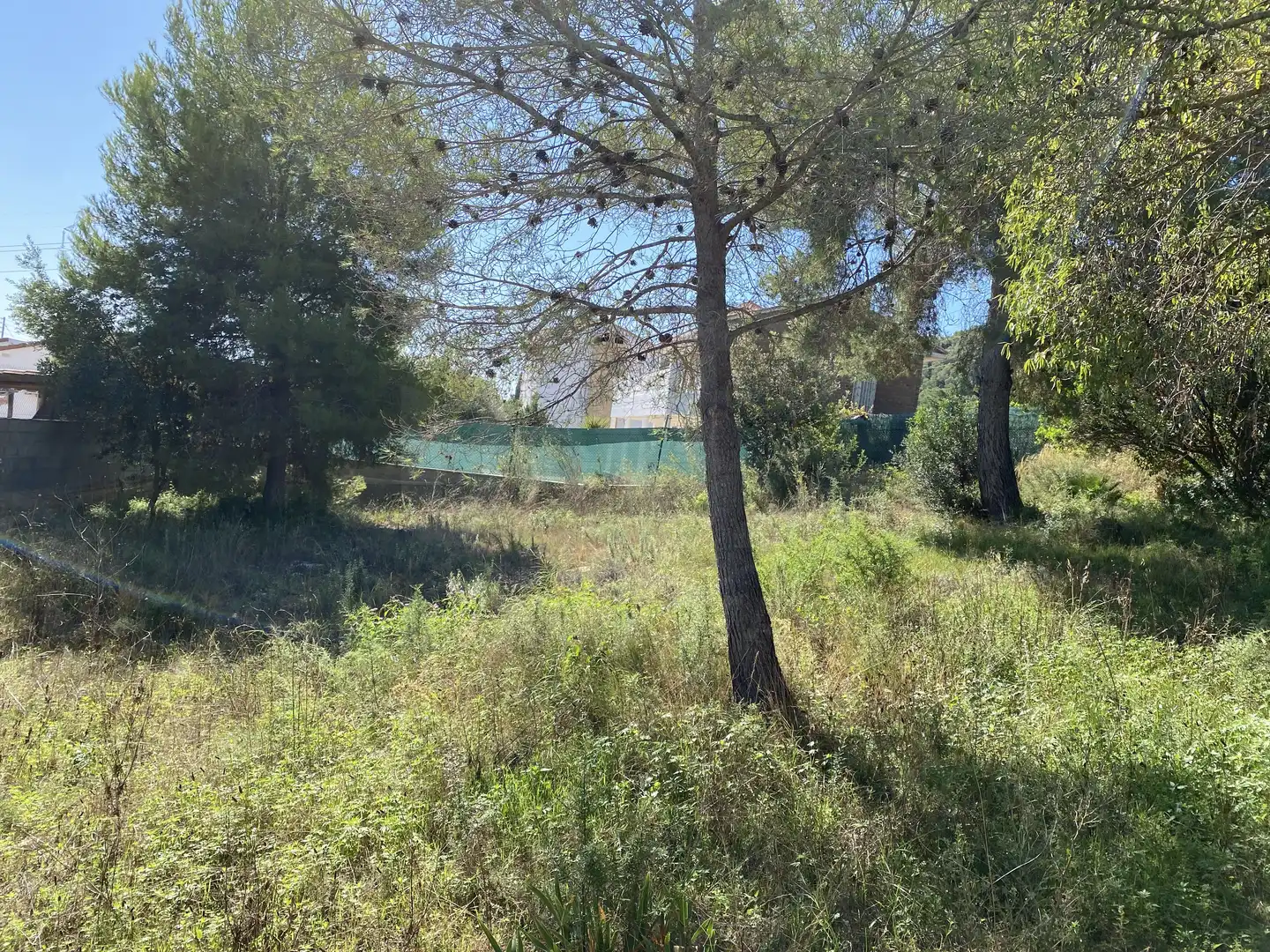 Terreno residencial en venta en Albinyana, imagen 2