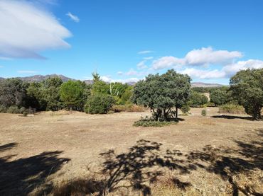 Terreno rústico en venta en Colmenar del Arroyo