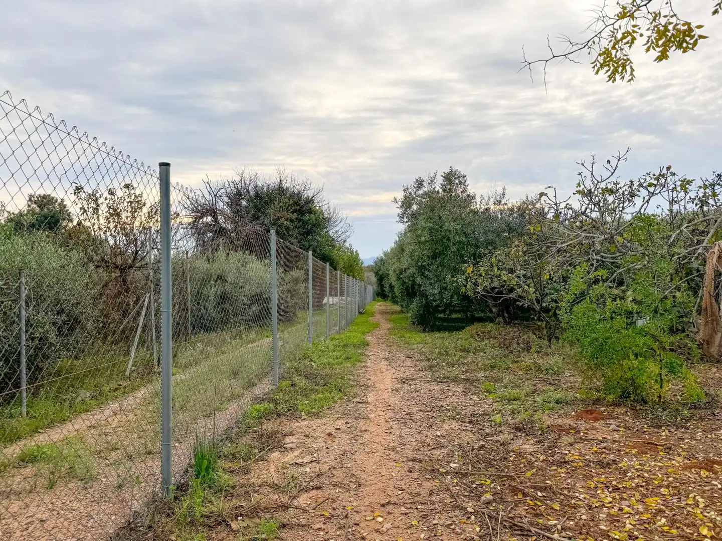 Finca rústica en venda a BURGAR DEL, 40, Riudoms