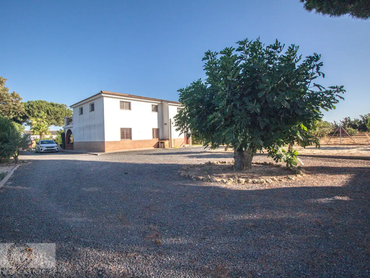 Vista exterior de Finca rústica en venta en Cartaya con Jardín privado, Piscina y Amueblado