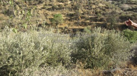 Finca rustica en venta en Canjáyar