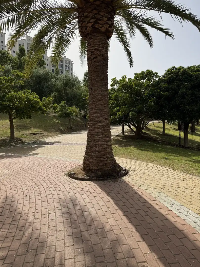 Apartament amb piscina en venda a Estepona Pueblo, imagen 22