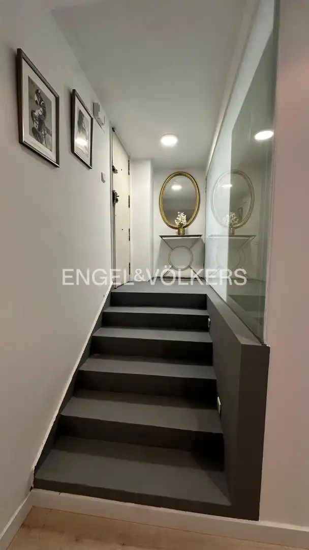 Apartments for rent in Madrid  with Heating and Pets allowed