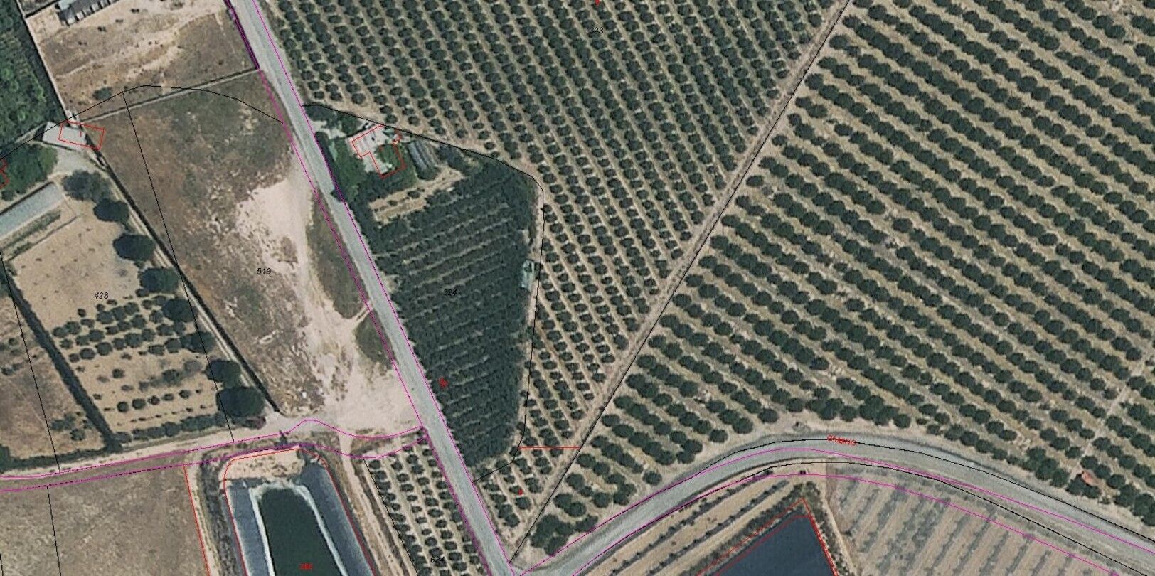 Land for sale in Torre-Pacheco