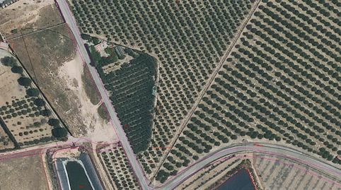 Foto 2 von Grundstücke zum Verkauf in Lugar Los Perez, 10, Torre-Pacheco ciudad, Torre-Pacheco