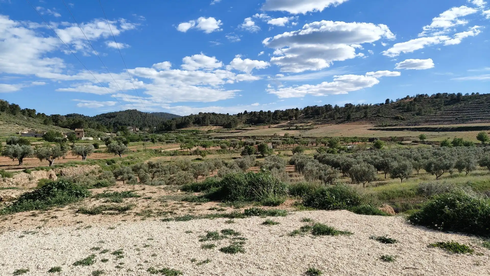Grundstücke zum Verkauf in Jumilla