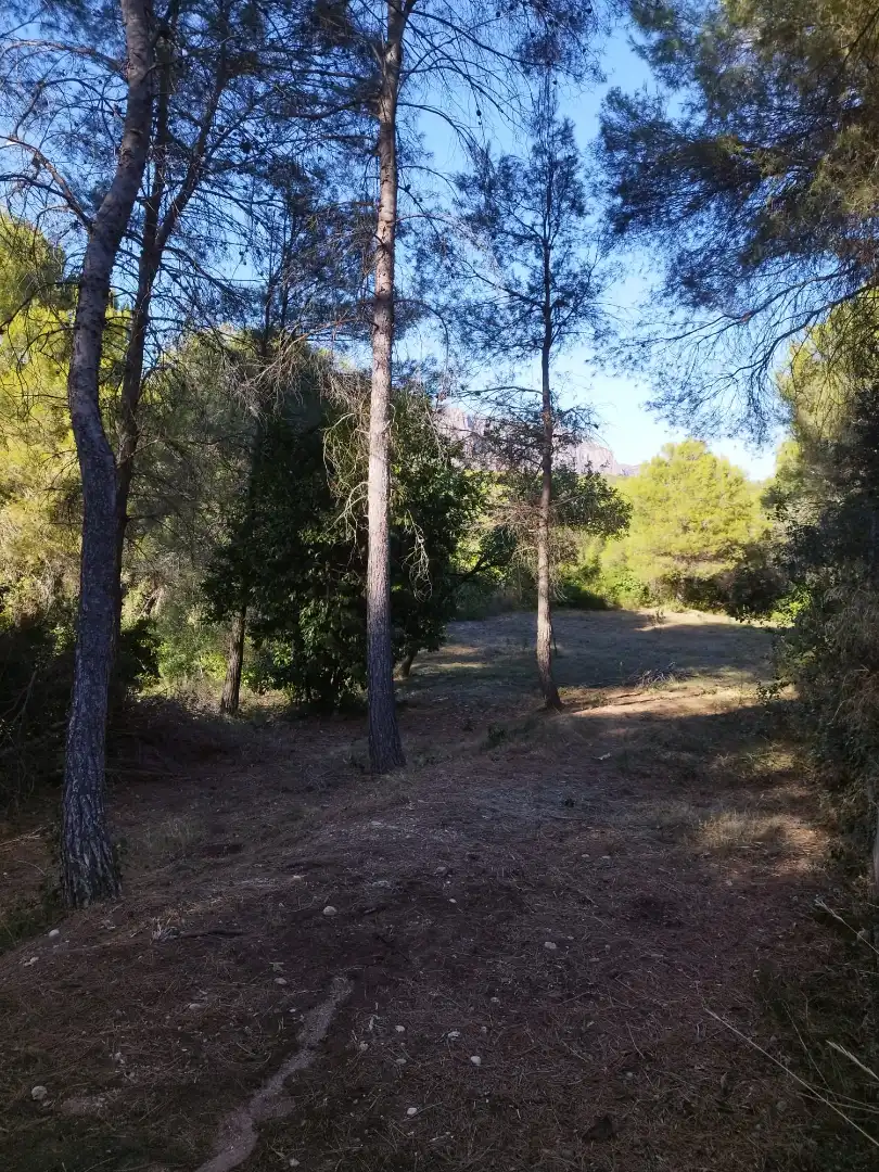 Terreny rústic de lloguer a Els Hostalets de Pierola, imagen 17
