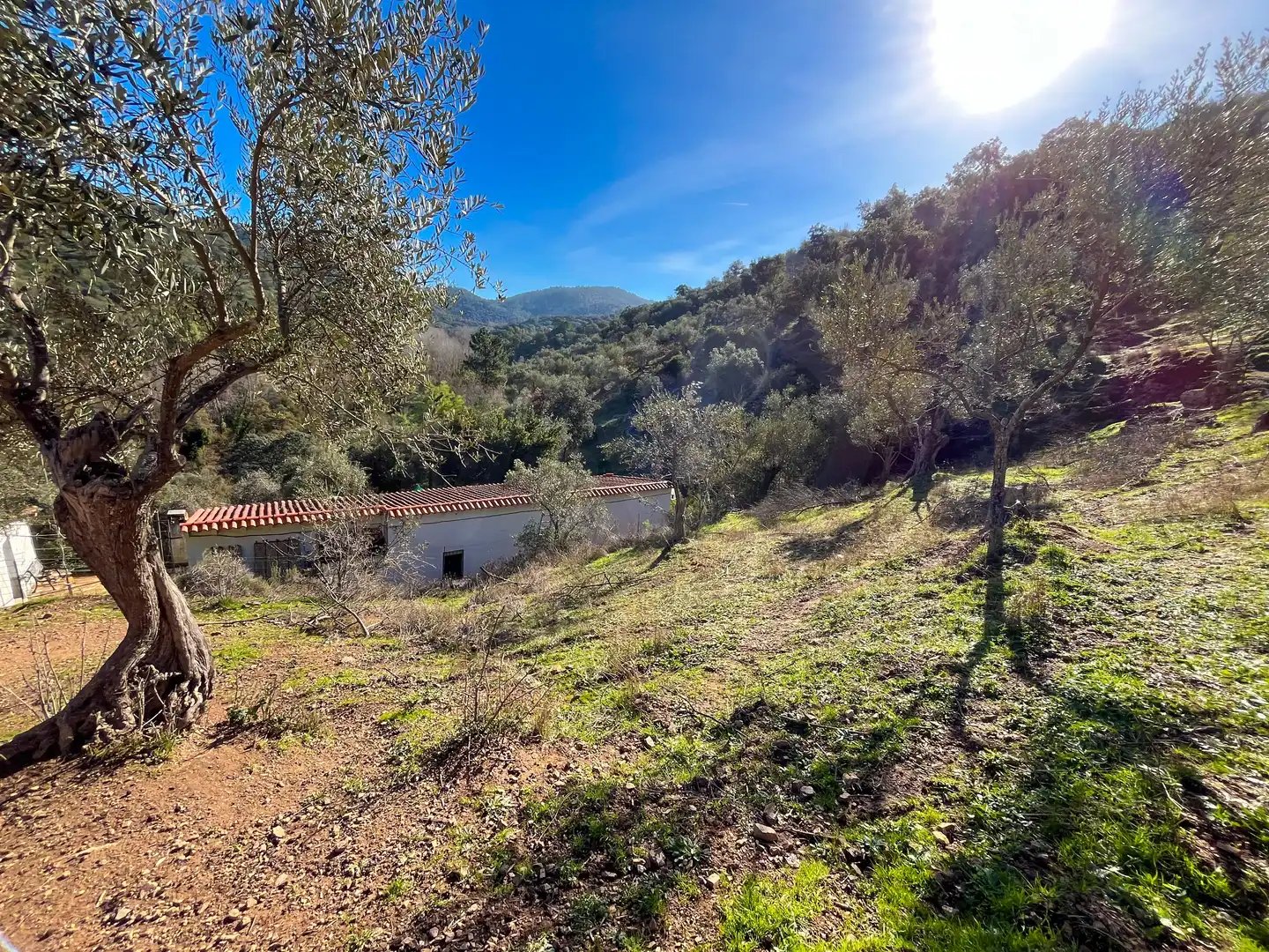 Grundstücke zum Verkauf in La Nava