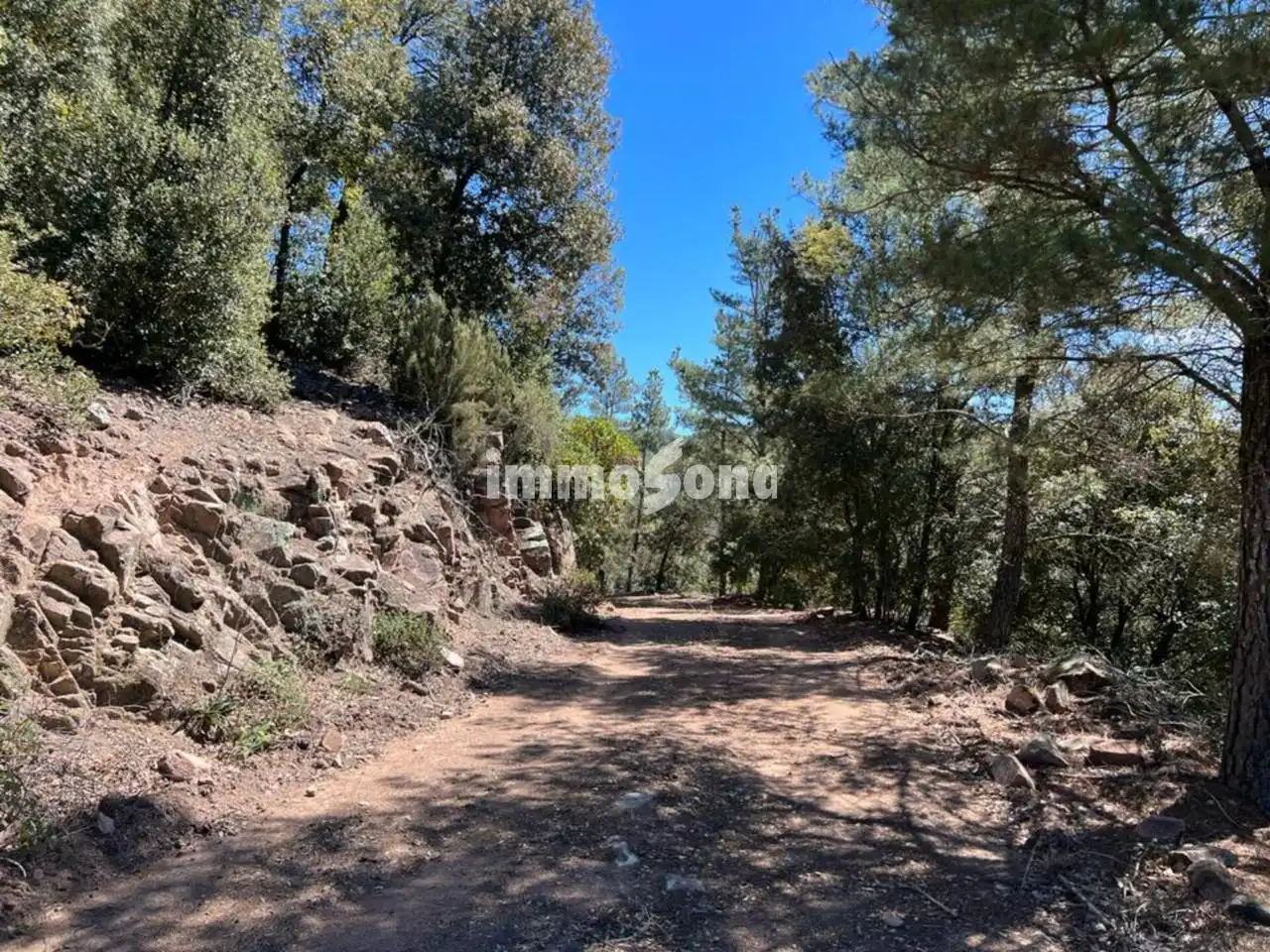 Terreno rustico in vendita a Vilanova de Sau, imagen 6