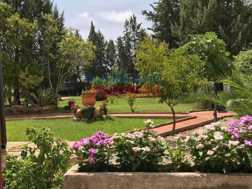 Jardín de Finca rústica en venta en Parrillas