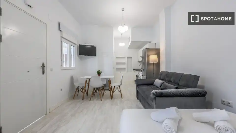 Living room of Flat for rent in Madrid  with Air Conditioner, Heating and Furnished