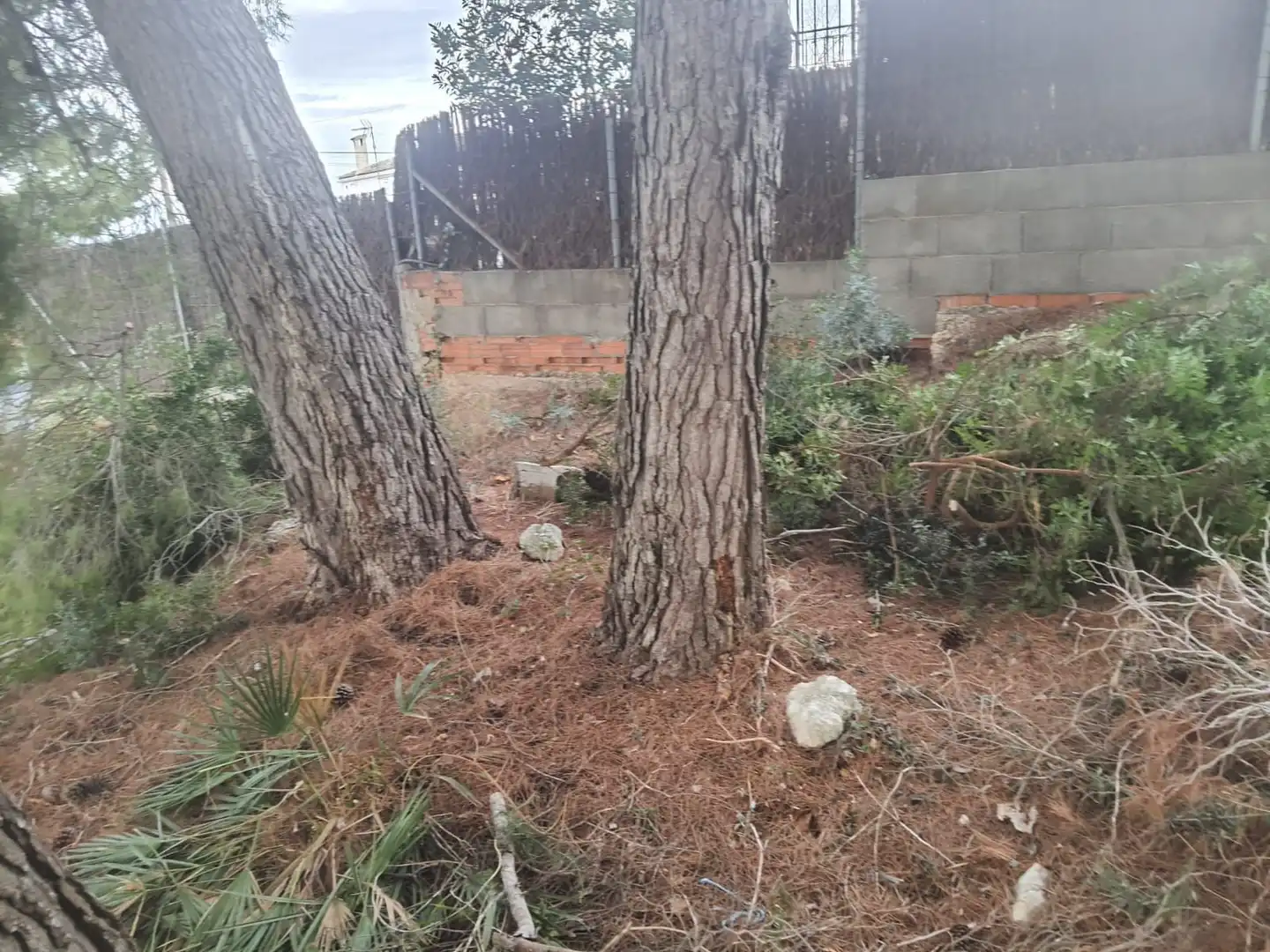 Grundstücke und Bauplätze zum Verkauf in Calafell Park, imagen 18