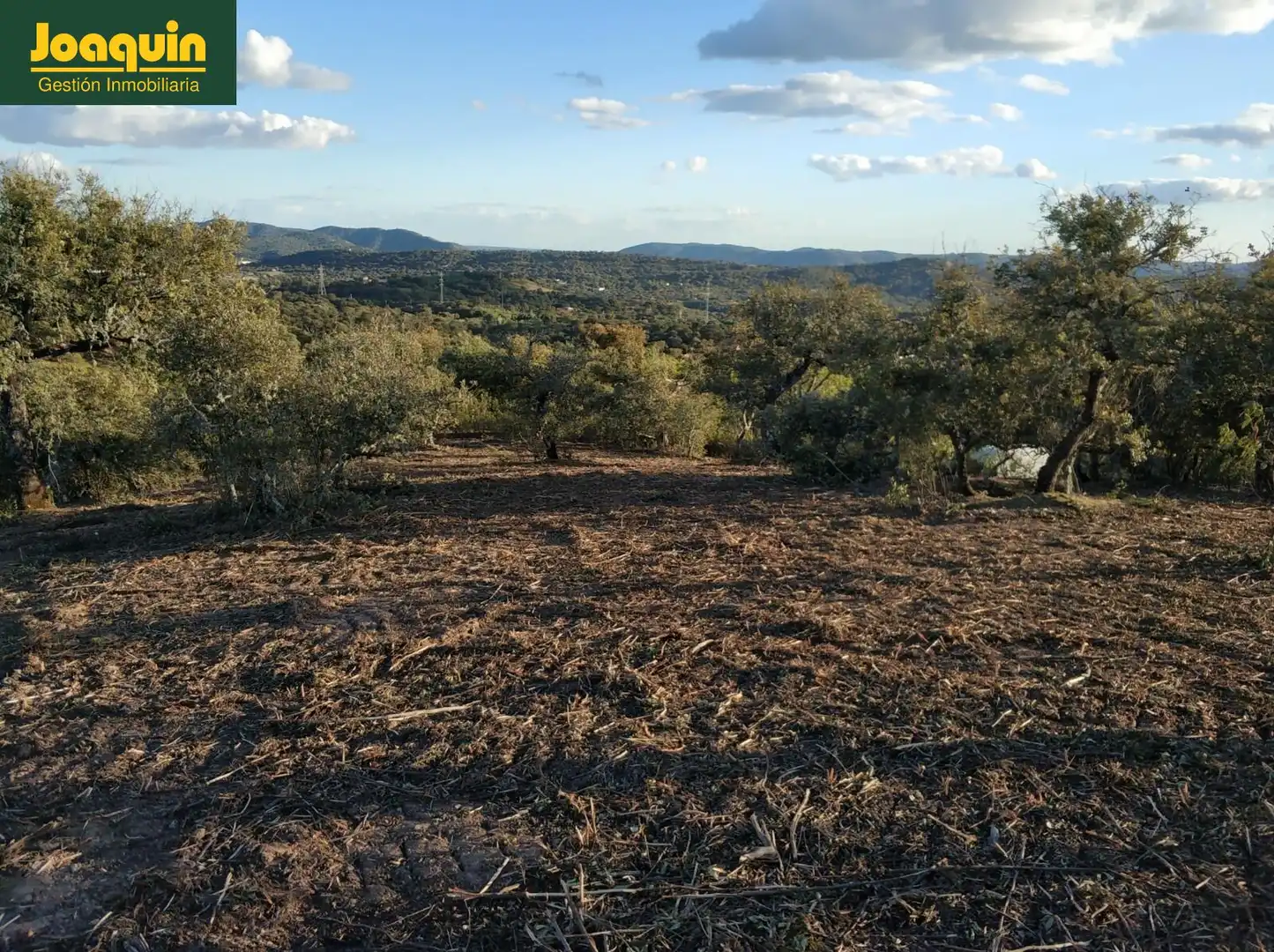 Terreno en venta en Obejo