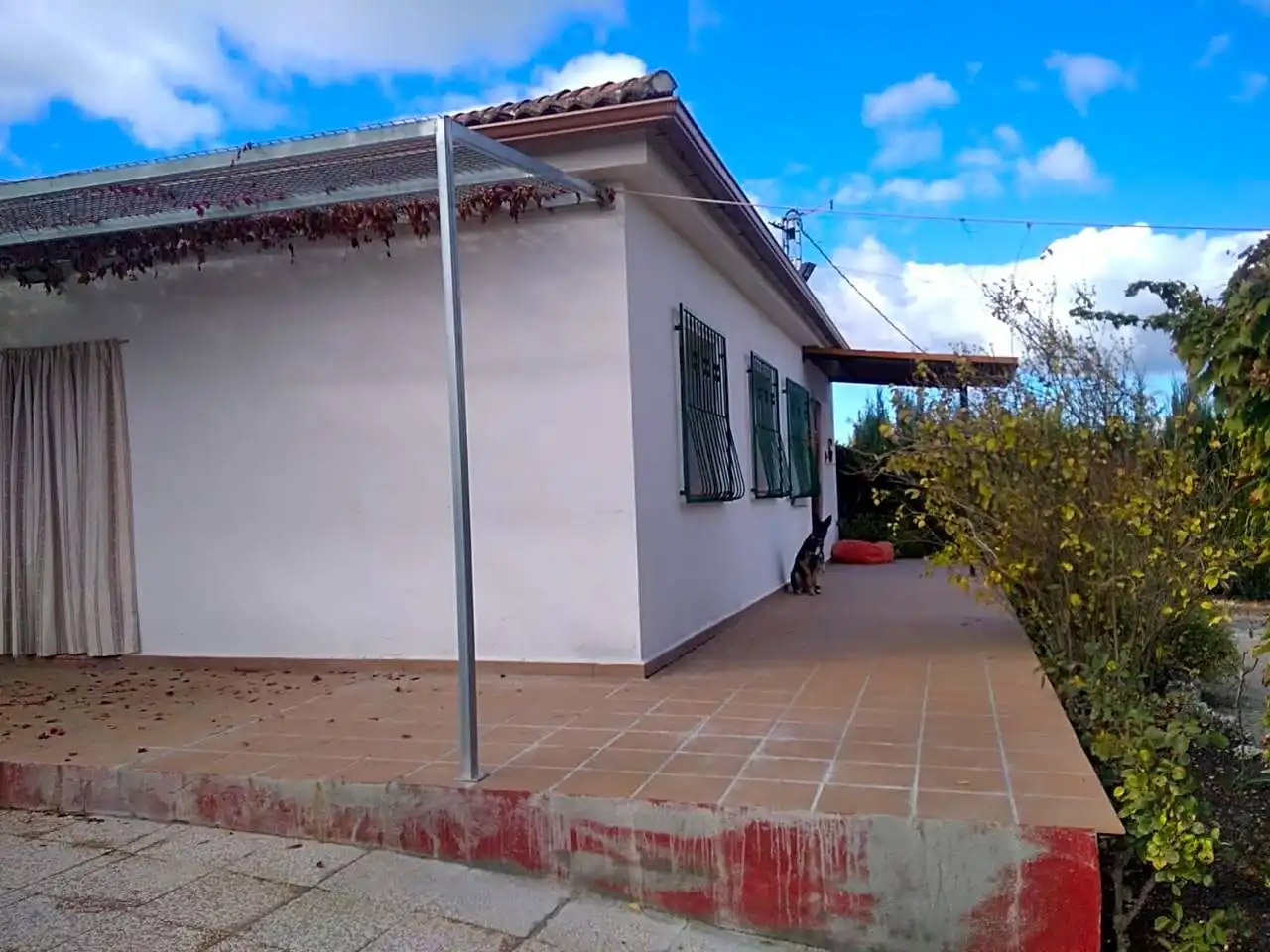Vista exterior de Finca rústica en venta en Benalúa de las Villas con Jardín privado, Terraza y Trastero