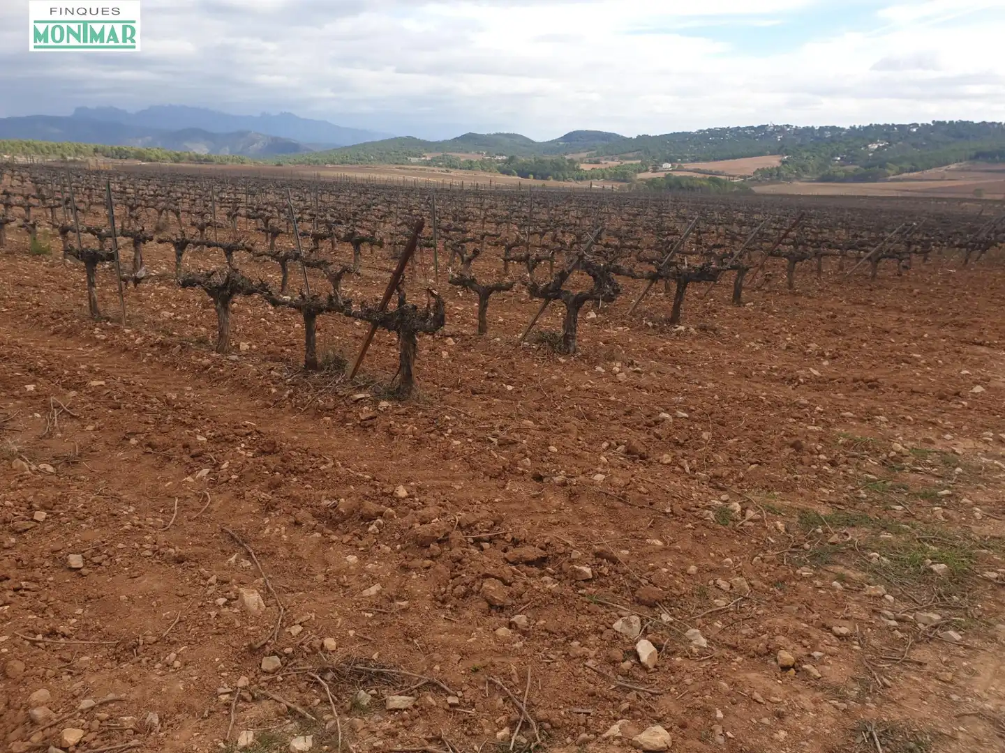 Finca rústica en venda en Vilafranca del Penedès