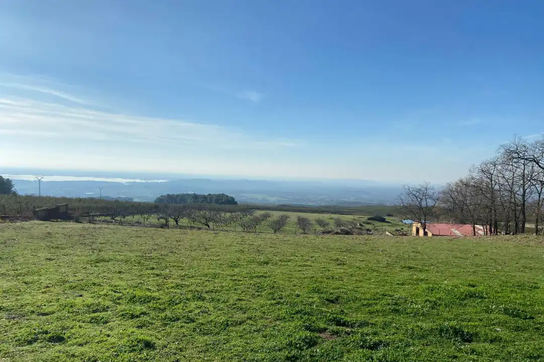 Land for sale in Hervencias