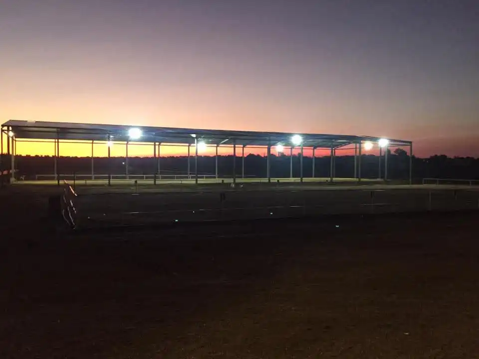 Exterior view of Industrial land for sale in Almendralejo