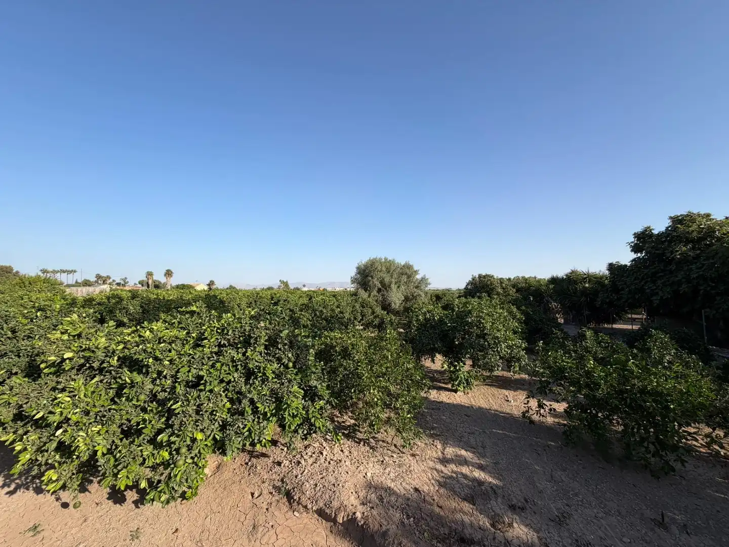Casa en venta en Daya Vieja, imagen 12