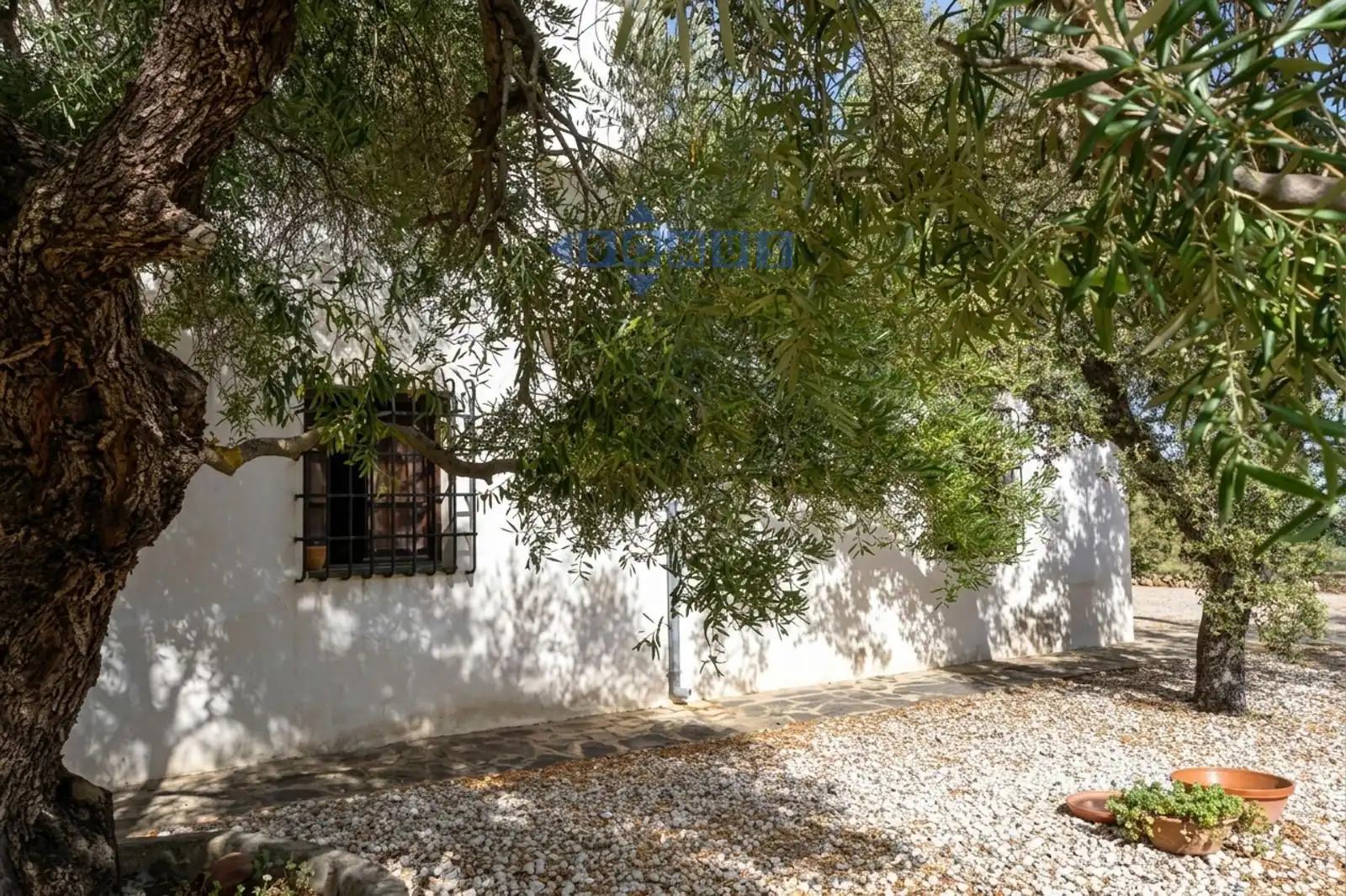 Vista exterior de Finca rústica en venta en Ronda con Calefacción, Jardín privado y Terraza