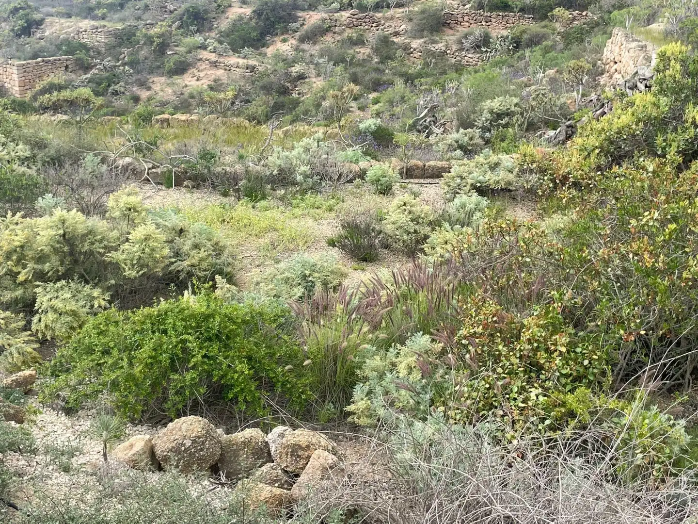 Terreno rustico in vendita a Arico, imagen 15