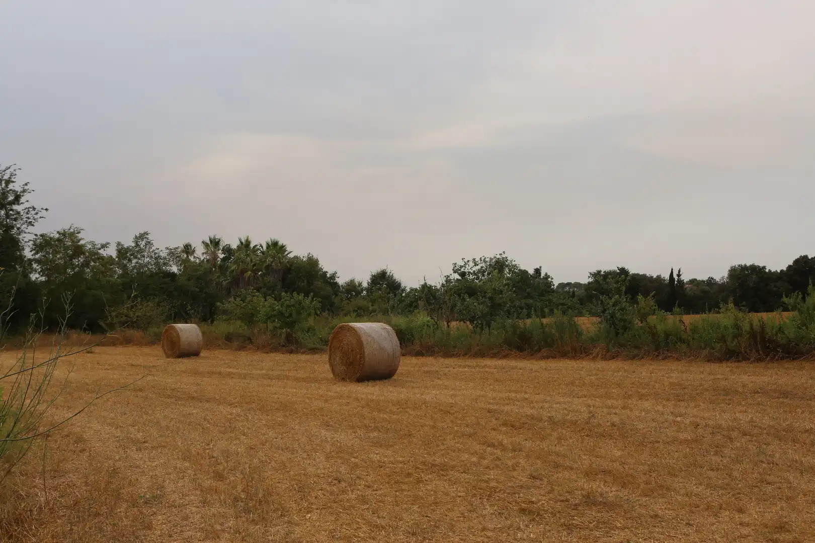 Finca rústica en venda en Begur amb Jardí privat